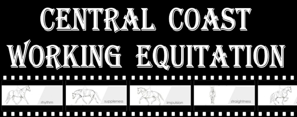 Central Coast Working Equitation Inc